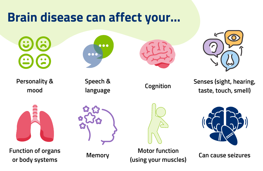 Graphic with possible symptoms of brain disease (personality, motor function, senses, cognition, organ function, memory)